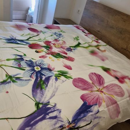 Caci Apartman Črni Kal Kültér fotó