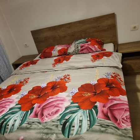 Caci Apartman Črni Kal Kültér fotó