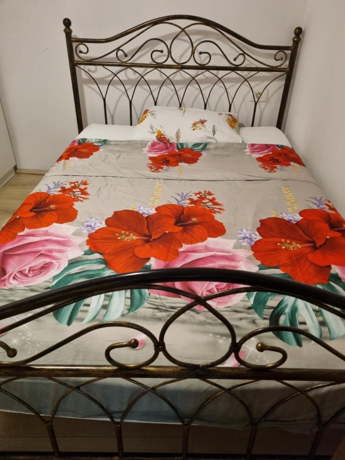 Caci Apartman Črni Kal Kültér fotó
